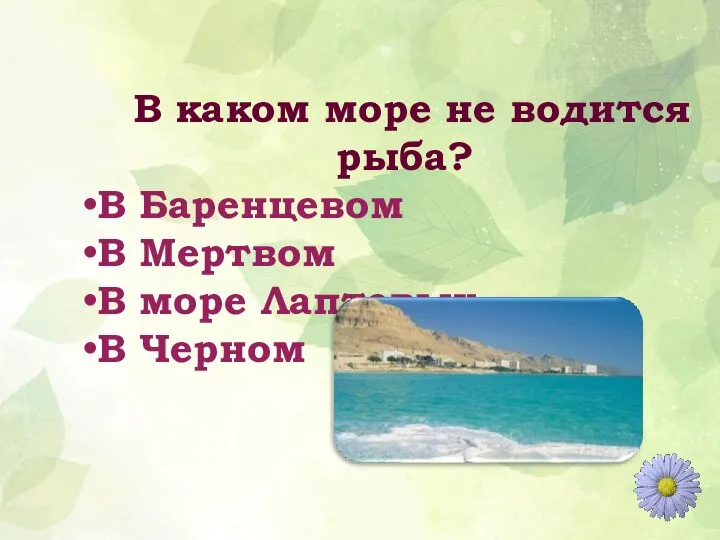 В каком море не водится рыба? В Баренцевом В Мертвом В море Лаптевых В Черном