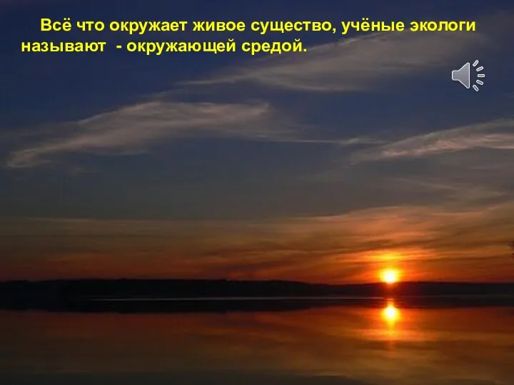 Всё что окружает живое существо, учёные экологи называют - окружающей средой.