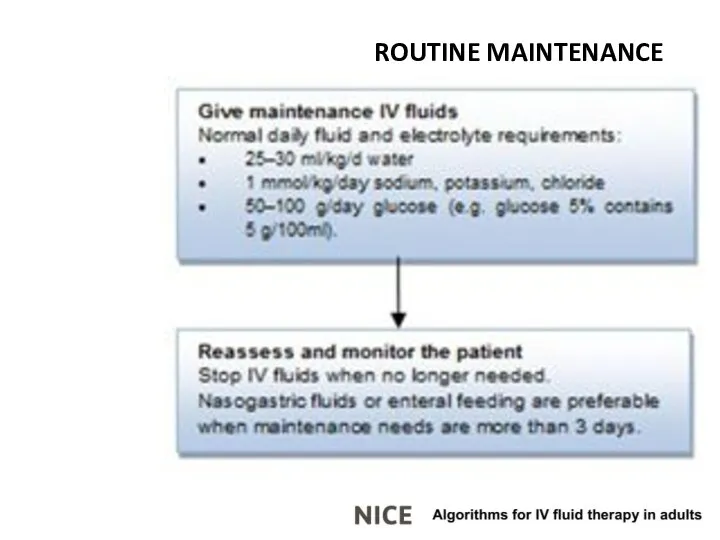 ROUTINE MAINTENANCE