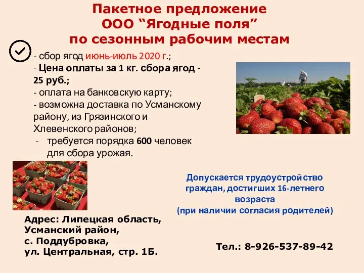 Пакетное предложение ООО “Ягодные поля” по сезонным рабочим местам Тел.: 8-926-537-89-42