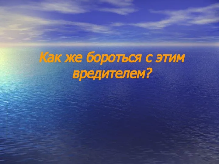 Как же бороться с этим вредителем?