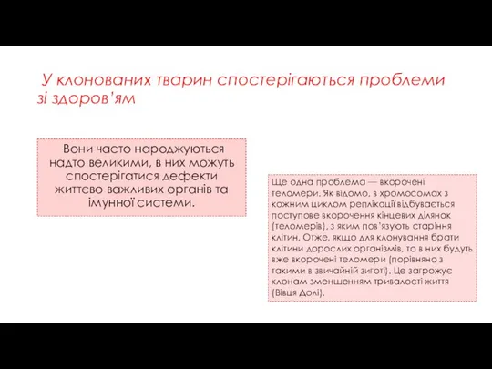 У клонованих тварин спостерігаються проблеми зі здоров’ям Вони часто народжуються надто