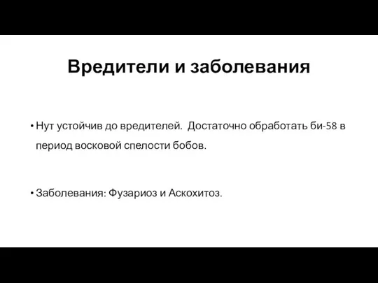 Вредители и заболевания Нут устойчив до вредителей. Достаточно обработать би-58 в