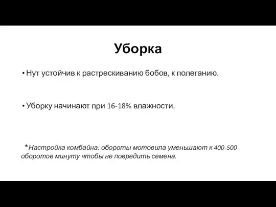 Уборка Нут устойчив к растрескиванию бобов, к полеганию. Уборку начинают при