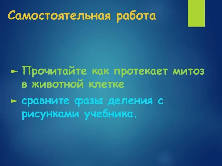 Самостоятельная работа Прочитайте как протекает митоз в животной клетке сравните фазы деления с рисунками учебника.