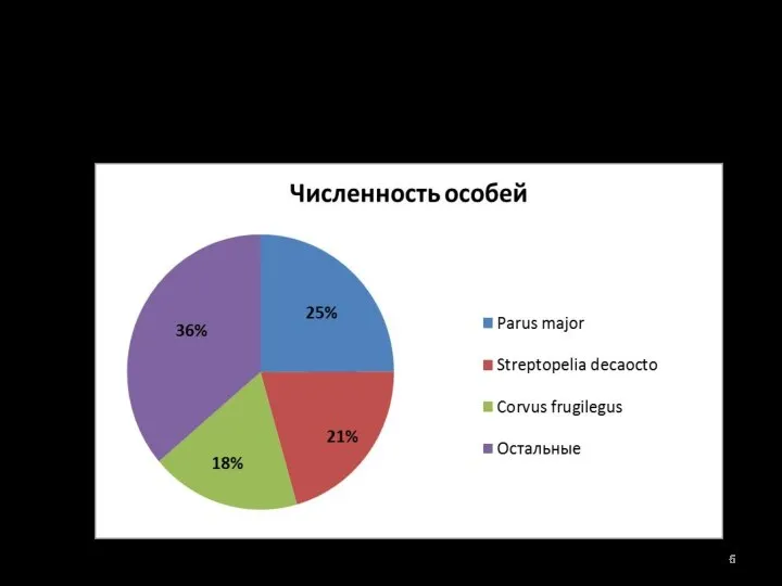 Наиболее многочисленный вид - синица большая (Parus major) (24,94%). Субдоминант –