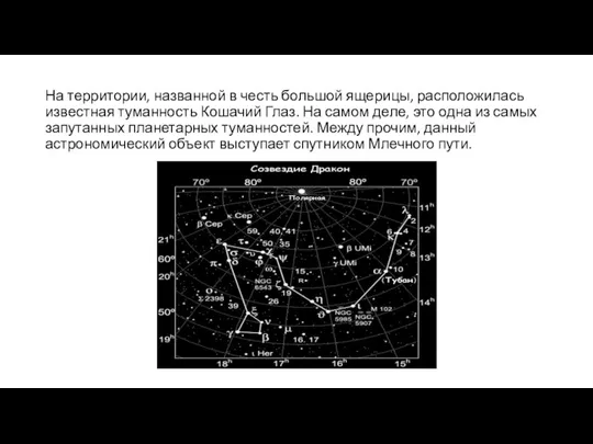 На территории, названной в честь большой ящерицы, расположилась известная туманность Кошачий