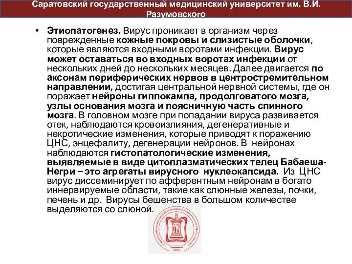 Саратовский государственный медицинский университет им. В.И. Разумовского Этиопатогенез. Вирус проникает в