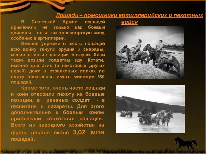 В Советской Армии лошадей применяли не только как боевые единицы –