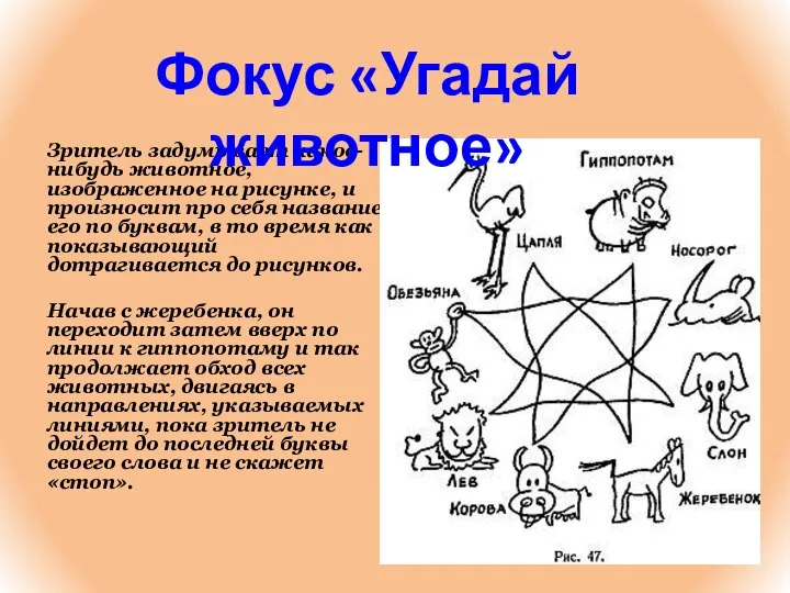 Зритель задумывает какое-нибудь животное, изображенное на рисунке, и произносит про себя