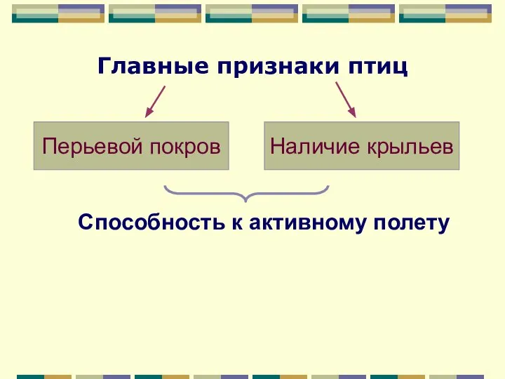 Главные признаки птиц Перьевой покров Наличие крыльев Способность к активному полету