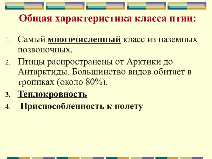 Общая характеристика класса птиц: Самый многочисленный класс из наземных позвоночных. Птицы