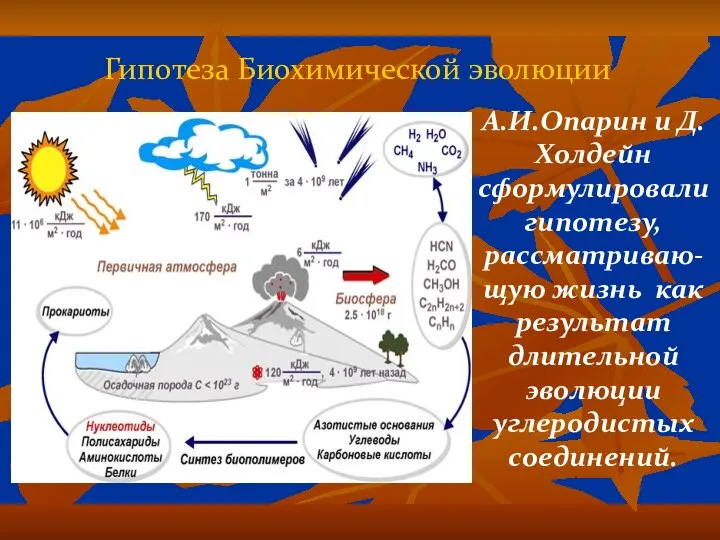 Гипотеза Биохимической эволюции А.И.Опарин и Д.Холдейн сформулировали гипотезу, рассматриваю-щую жизнь как результат длительной эволюции углеродистых соединений.