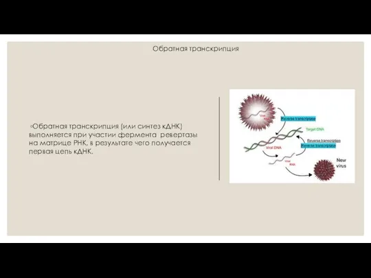 Обратная транскрипция (или синтез кДНК) выполняется при участии фермента ревертазы на