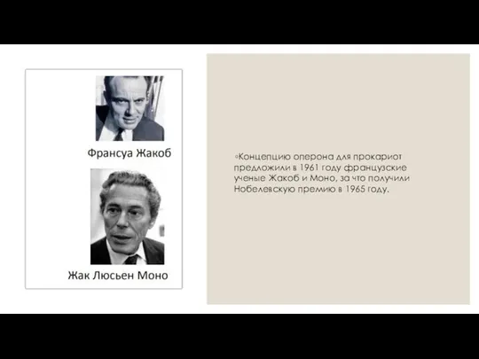 Концепцию оперона для прокариот предложили в 1961 году французские ученые Жакоб