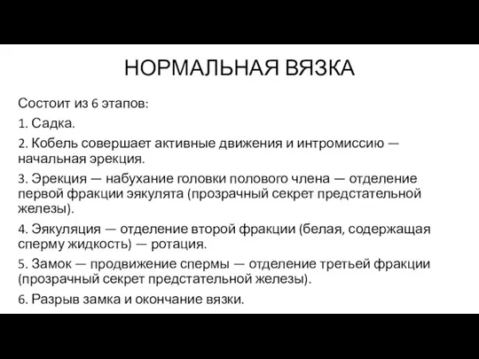 НОРМАЛЬНАЯ ВЯЗКА Состоит из 6 этапов: 1. Садка. 2. Кобель совершает