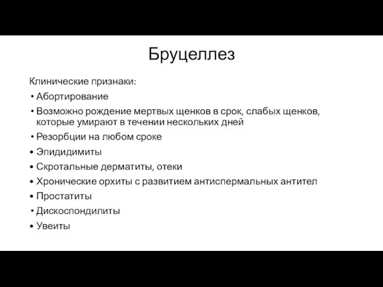 Бруцеллез Клинические признаки: Абортирование Возможно рождение мертвых щенков в срок, слабых