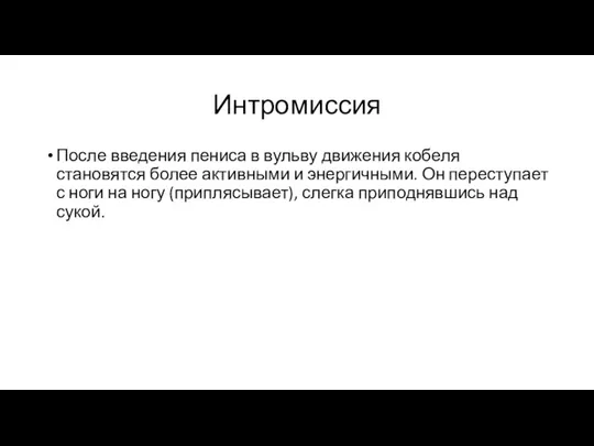 Интромиссия После введения пениса в вульву движения кобеля становятся более активными