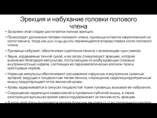 Эрекция и набухание головки полового члена За время этой стадии достигается