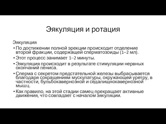 Эякуляция и ротация Эякуляция По достижении полной эрекции происходит отделение второй