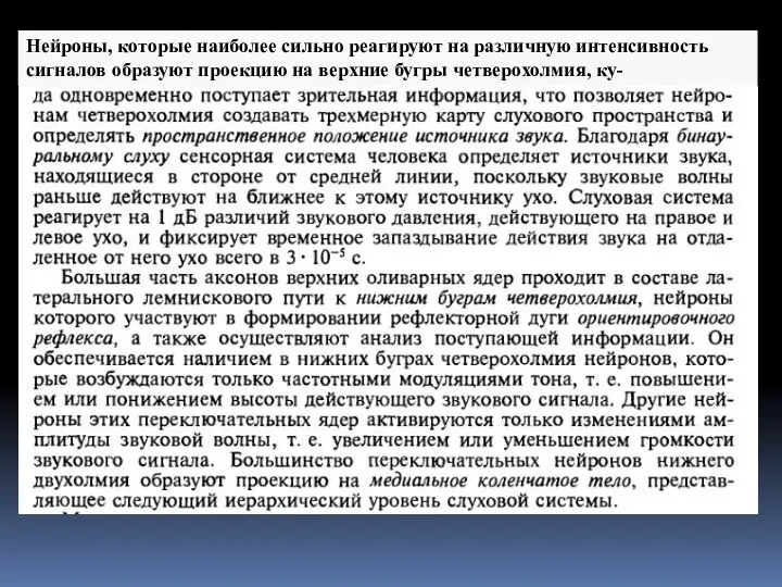 Нейроны, которые наиболее сильно реагируют на различную интенсивность сигналов образуют проекцию на верхние бугры четверохолмия, ку-