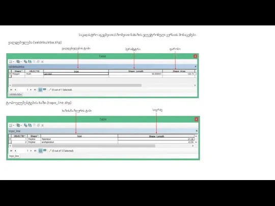 საკადასტრო აგეგმვითი/აზომვითი ნახაზის ელექტრონული ვერსიის მონაცემები ვალდებულება (valdebuleba.shp) ვალდებულების ტიპი პერიმეტრი
