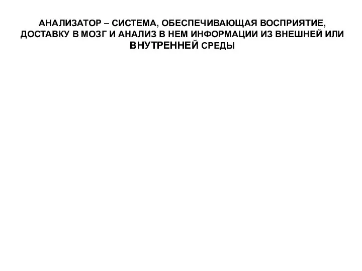 АНАЛИЗАТОР – СИСТЕМА, ОБЕСПЕЧИВАЮЩАЯ ВОСПРИЯТИЕ, ДОСТАВКУ В МОЗГ И АНАЛИЗ В