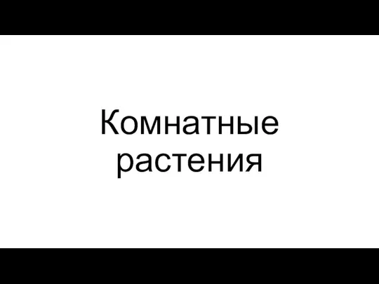 Комнатные растения