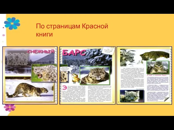 По страницам Красной книги