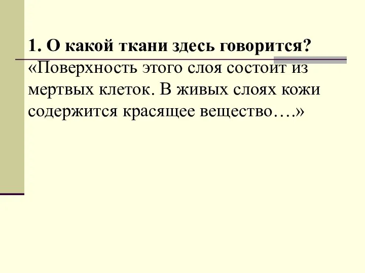 1. О какой ткани здесь говорится? «Поверхность этого слоя состоит из