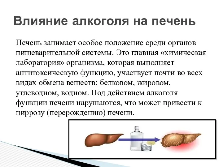 Печень занимает особое положение среди органов пищеварительной системы. Это главная «химическая