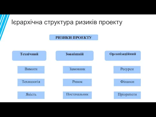 Ієрархічна структура ризиків проекту