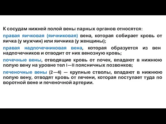 К сосудам нижней полой вены парных органов относятся: правая яичковая (яичниковая)