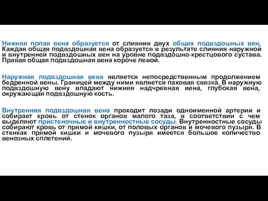 Нижняя полая вена образуется от слияния двух общих подвздошных вен. Каждая