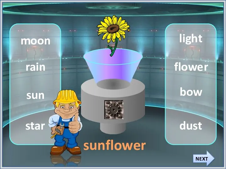 sun rain moon star light dust bow flower sunflower NEXT