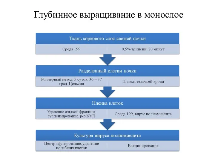 Глубинное выращивание в монослое