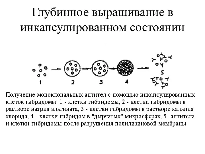 Глубинное выращивание в инкапсулированном состоянии