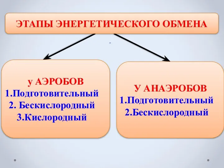 у АЭРОБОВ Подготовительный Бескислородный Кислородный ЭТАПЫ ЭНЕРГЕТИЧЕСКОГО ОБМЕНА У АНАЭРОБОВ Подготовительный Бескислородный