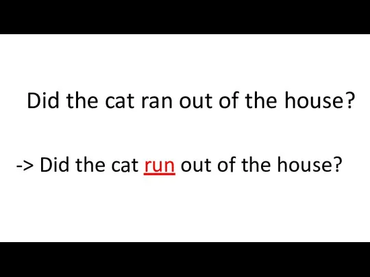 Did the cat ran out of the house? -> Did the