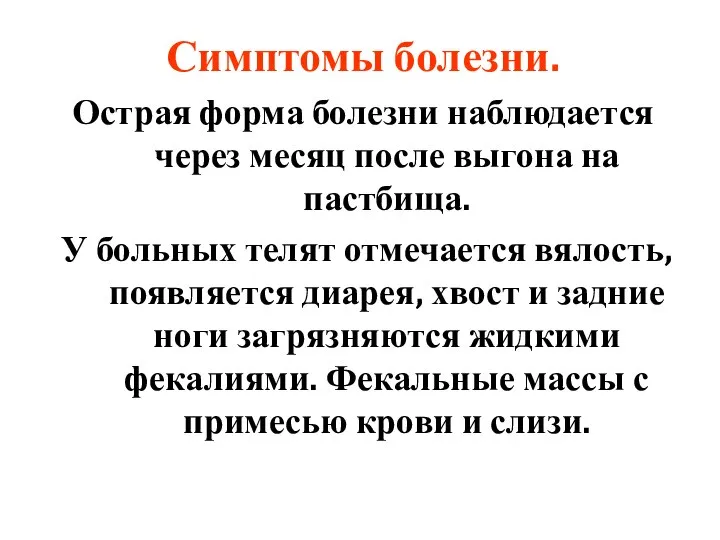 Симптомы болезни. Острая форма болезни наблюдается через месяц после выгона на