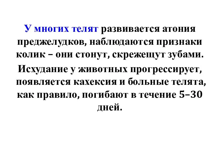 У многих телят развивается атония преджелудков, наблюдаются признаки колик – они