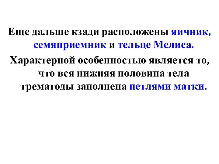 Еще дальше кзади расположены яичник, семяприемник и тельце Мелиса. Характерной особенностью