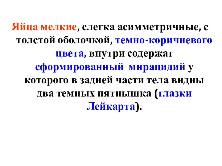 Яйца мелкие, слегка асимметричные, с толстой оболочкой, темно-коричневого цвета, внутри содержат