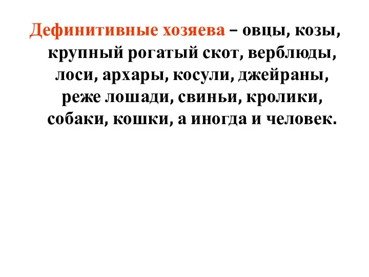 Дефинитивные хозяева – овцы, козы, крупный рогатый скот, верблюды, лоси, архары,