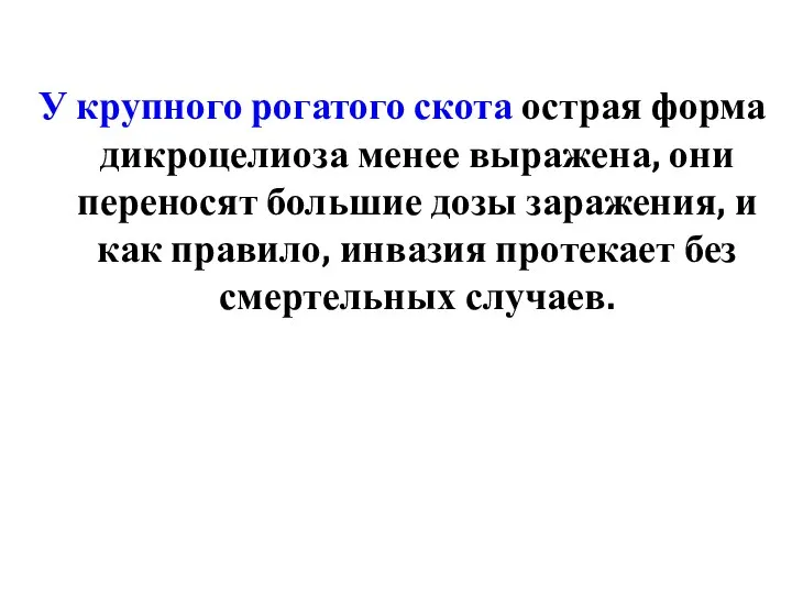 У крупного рогатого скота острая форма дикроцелиоза менее выражена, они переносят