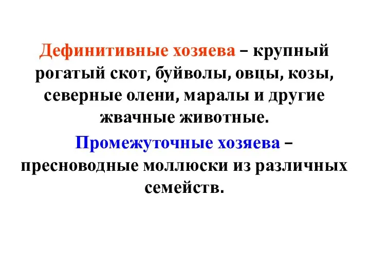 Дефинитивные хозяева – крупный рогатый скот, буйволы, овцы, козы, северные олени,