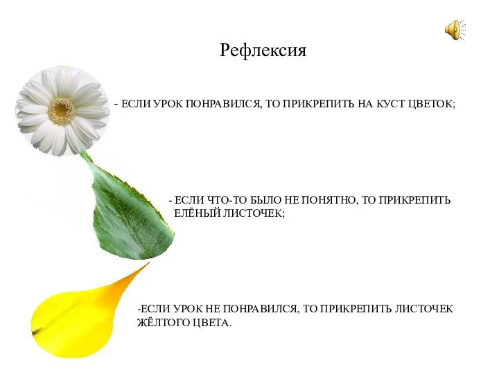 - ЕСЛИ УРОК ПОНРАВИЛСЯ, ТО ПРИКРЕПИТЬ НА КУСТ ЦВЕТОК; - ЕСЛИ