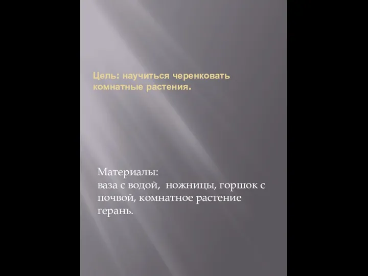 Цель: научиться черенковать комнатные растения. Материалы: ваза с водой, ножницы, горшок с почвой, комнатное растение герань.