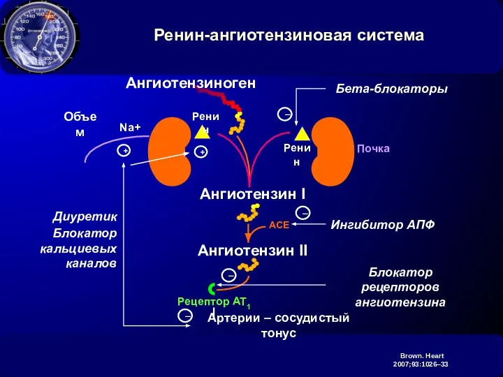 Ренин-ангиотензиновая система Brown. Heart 2007;93:1026–33