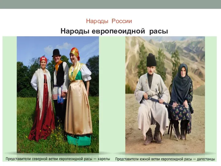 Народы России Народы европеоидной расы